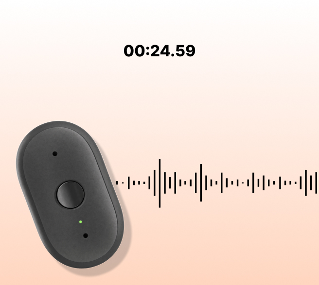 Voice notes